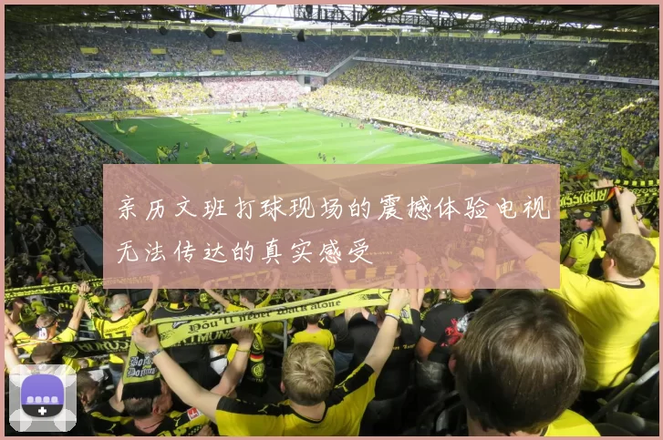 亲历文班打球现场的震撼体验电视无法传达的真实感受